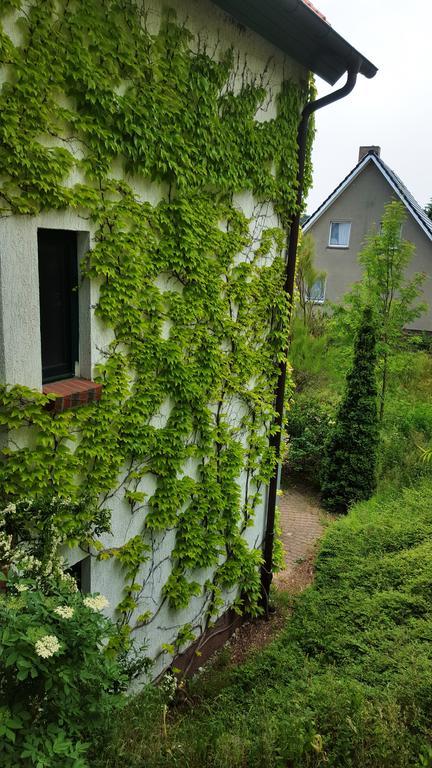 Haus Seefeld Uckeritz Bagian luar foto